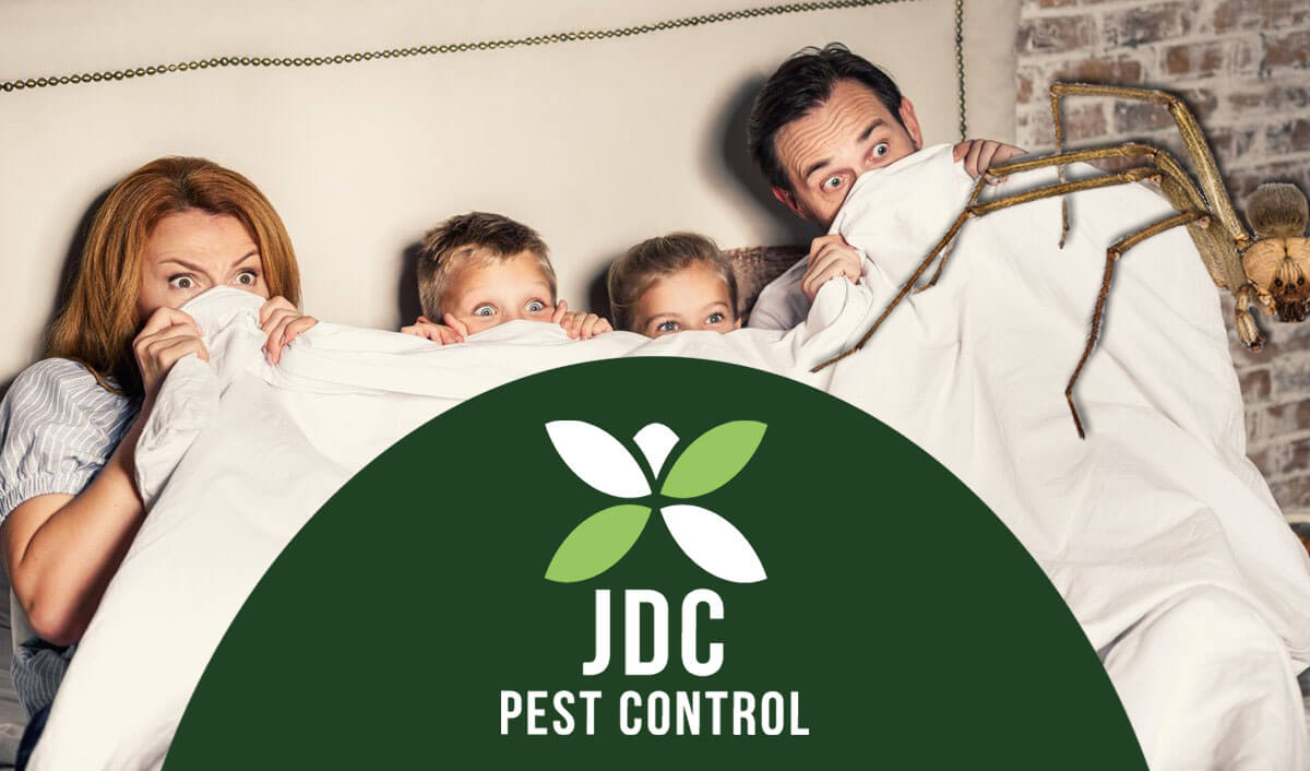 Rutherford County Roofing Frequently Asked Questions