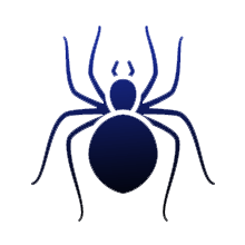 <span>Rutherford County</span> Spider Exterminator
