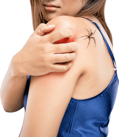 Logo Murfreesboro TN Pest Control & Exterminator