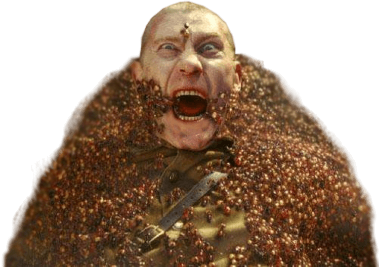 Logo Murfreesboro TN Pest Control & Exterminator