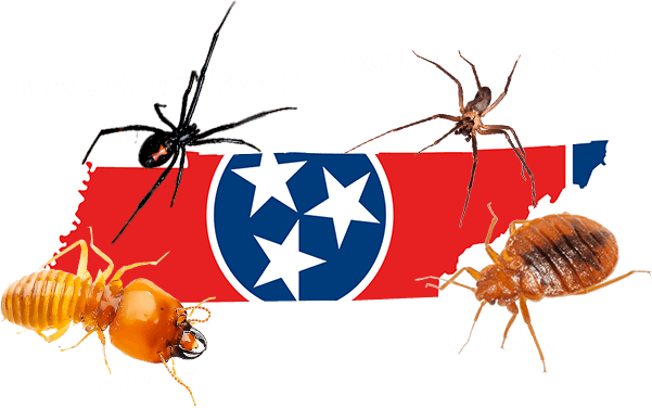 About Image Murfreesboro TN Pest Control & Exterminator